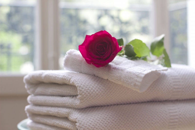 hotel-ST DALMAS LE SELVAGE-min_towel_rose_clean_care_salon_spa_white_bath-731641